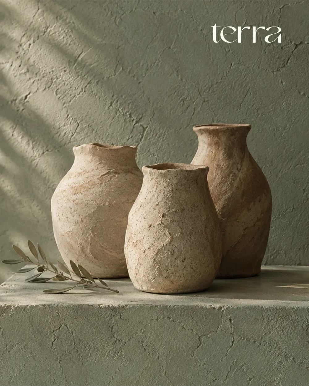 Collection de vases Terra sur fond sauge