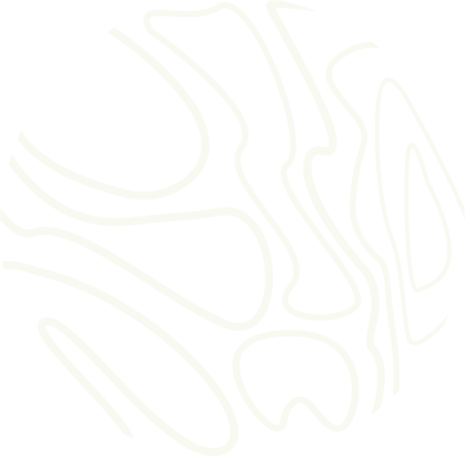 Icône du logo Terra, motif topographique circulaire